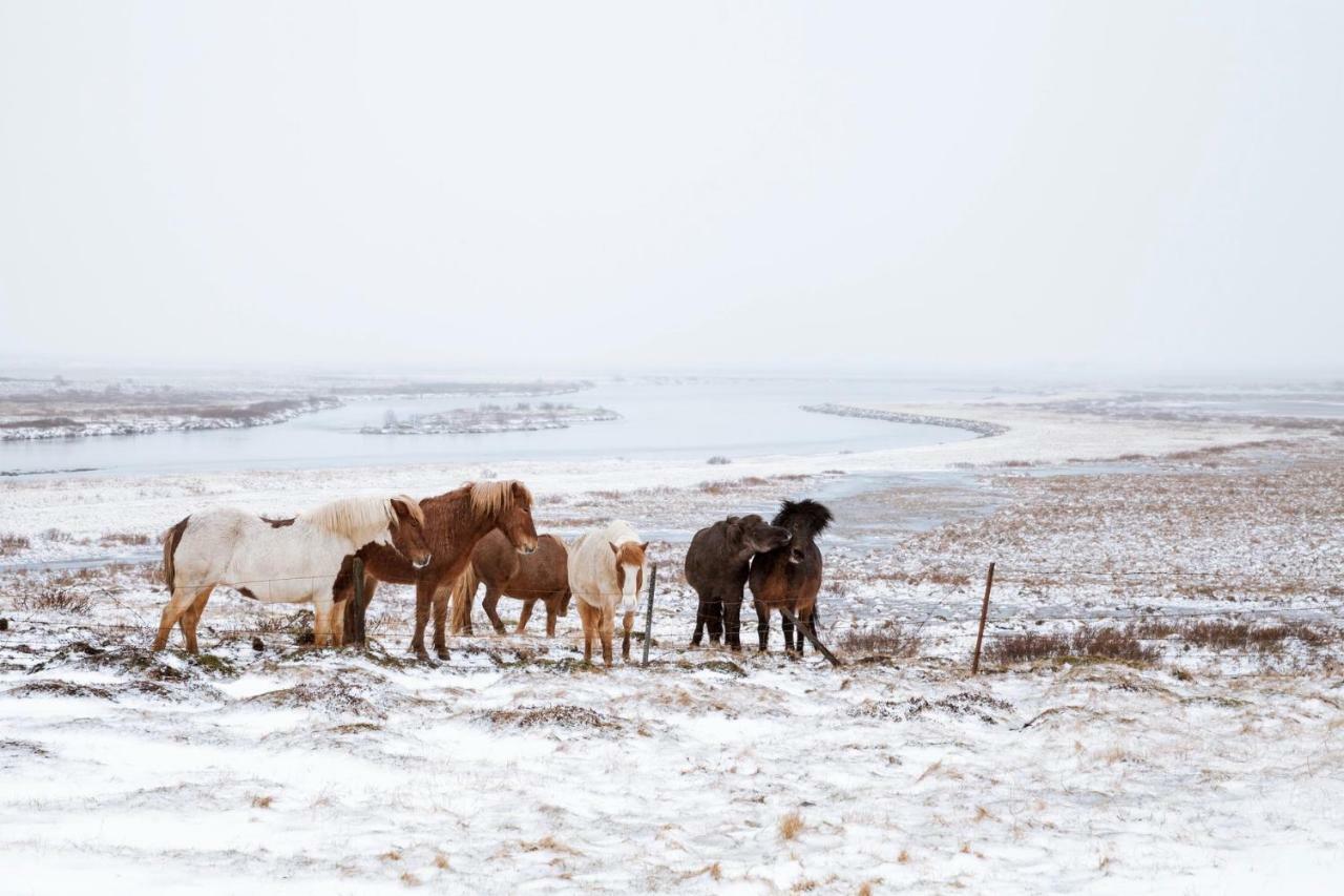 Experience Beautiful Iceland Ólafsvík Zewnętrze zdjęcie